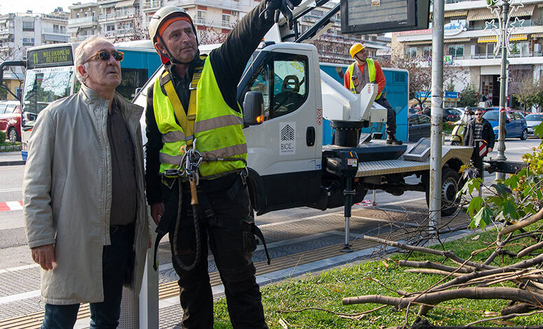 Κοπή-ξερών-και-επικίνδυνων-κλαδιών-στον-Δημοτικό-Κήπο-Καβάλας
