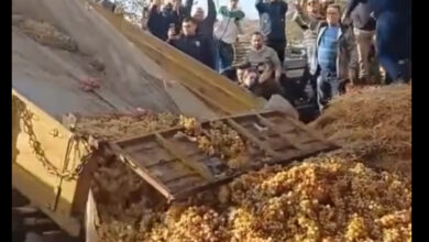 Δυναμική-διαμαρτυρία-αγροτών-στην-είσοδο-του-Διοικητηρίου-της-Καβάλας