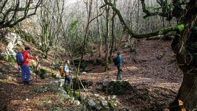 Μακάριος-Λαζαρίδης:-Δημιουργούμε-δίκτυο-μονοπατιών-στον-Δήμο-Νέστου