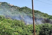 Καβάλα:-Φωτιά-σε-αυτοκίνητο-επεκτάθηκε-σε-δασική-έκταση