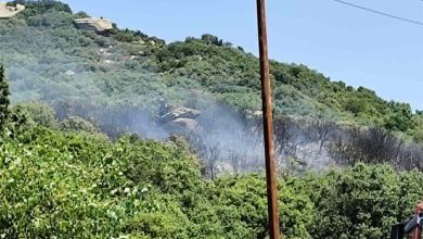 Καβάλα:-Φωτιά-σε-αυτοκίνητο-επεκτάθηκε-σε-δασική-έκταση
