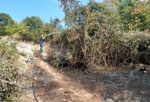Ελευθερούπολη:-Αντιμετωπίστηκε-άμεσα-πυρκαγιά