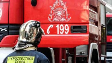 Πυρκαγιά-στην-περιοχή-Βρύση-του-δήμου-Παγγαίου