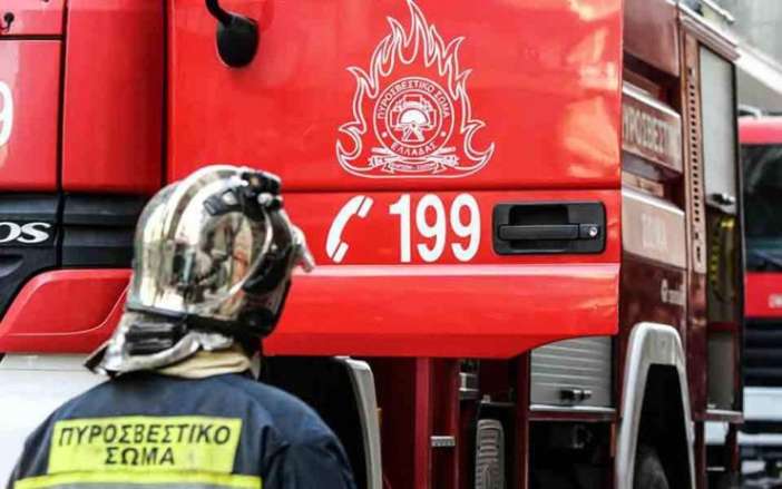 Πυρκαγιά-στην-περιοχή-Βρύση-του-δήμου-Παγγαίου