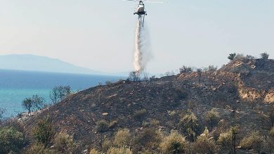 Αντιμετωπίζεται-με-επιτυχία-η-πυρκαγιά-στην-παραλιακή-Εγνατία