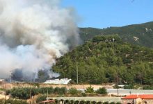 Πυρκαγιά-σε-δασική-έκταση-στο-Ελαιοχώρι-Καβάλας