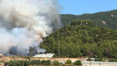 Πυρκαγιά-σε-δασική-έκταση-στο-Ελαιοχώρι-Καβάλας