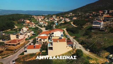 Σύντομα-η-χορήγηση-των-τίτλων-του-Αναδασμού-στον-Αμυγδαλεώνα