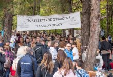 Η-Ημέρα-Κάστανου-στο-Παλαιοχώρι:-Μια-γιορτή-της-φύσης,-της-παράδοσης-και-της-φιλοξενίας!
