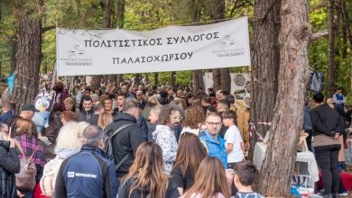 Η-Ημέρα-Κάστανου-στο-Παλαιοχώρι:-Μια-γιορτή-της-φύσης,-της-παράδοσης-και-της-φιλοξενίας!