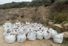 Χρήστος-Πριονίδης:-Προσφέρει-καυσόξυλα-σε-οικονομικά-ευάλωτα-νοικοκυριά-στην-Δ.Ενότητα-Ελευθερών