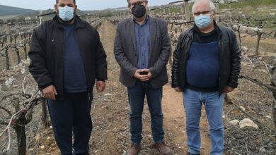 Ο-Κώστας-Αντωνιάδης-στις-πληγείσες-αμπελοκαλλιέργειες-του-Παγγαίου